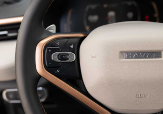 Подержанный автомобиль Haval Jolion 2025 года (12 фото)