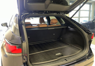 Новый Lexus RX 2023 (10 фото)