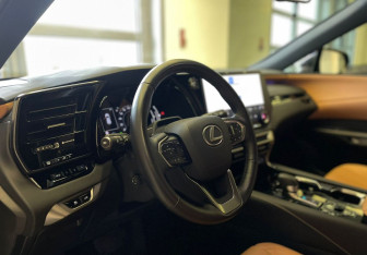 Новый Lexus RX 2023 (11 фото)