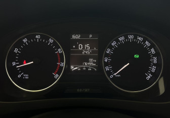 Подержанный автомобиль Skoda Rapid Liftback 2015 года (10 фото)
