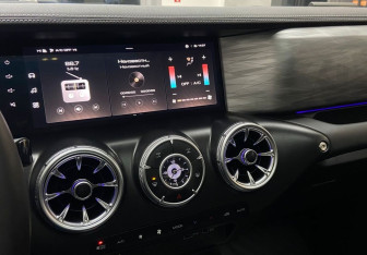 Подержанный автомобиль Tank 300 2023 года (13 фото)