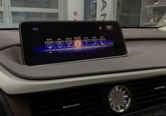 Подержанный автомобиль Lexus RX 2019 года (16 фото)