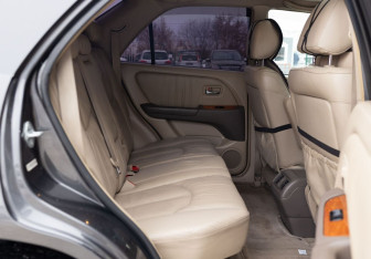 Подержанный автомобиль Lexus RX 2002 года (19 фото)