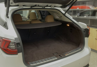 Подержанный автомобиль Lexus RX 2019 года (9 фото)