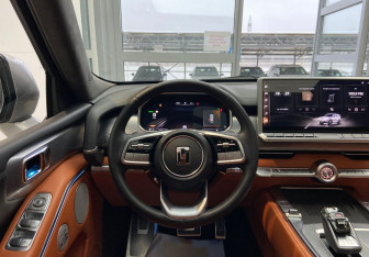 Подержанный автомобиль Tank 700 2024 года (21 фото)