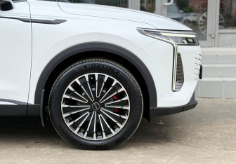Подержанный автомобиль Exeed RX 2024 года (12 фото)