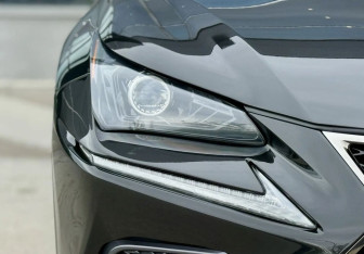 Подержанный автомобиль Lexus NX 2020 года (13 фото)