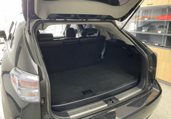 Подержанный автомобиль Lexus RX 2009 года (10 фото)