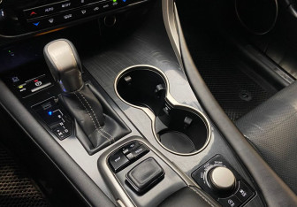 Подержанный автомобиль Lexus RX 2019 года (12 фото)