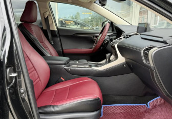 Подержанный автомобиль Lexus NX 2020 года (10 фото)